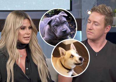 Kim Zolciak & Kroy Biermann In Doghouse As Neighbors Call Cops After Their 'Dangerous' Dog 'Almost Attacked' Kids! - perezhilton.com