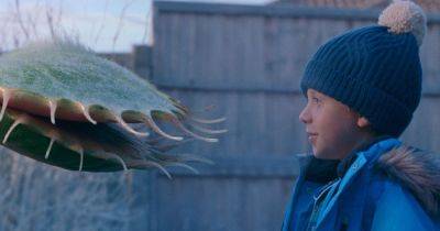 WATCH: John Lewis Christmas advert sees Venus flytrap cause mischief for young boy - www.ok.co.uk - Italy