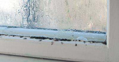 Property expert's 'effective' condensation tip that banishes '90% of steam' - www.dailyrecord.co.uk