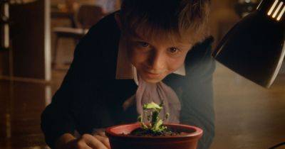 John Lewis' 2023 Christmas ad compared by fans to the 'Little Shop of Horrors' - www.dailyrecord.co.uk