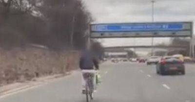 Scots driver shocked after cyclist seen trying to merge onto M8 at rush hour - www.dailyrecord.co.uk - Britain - Scotland