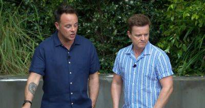 ITV I'm a Celeb's Ant McPartlin snaps at Nigel Farage as tempers flare - www.ok.co.uk