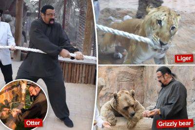 Action star Seagal plays tug of war with a liger — yet shakes otter’s paw behind glass in wild photos - nypost.com - USA - Ukraine - Russia - Dubai - county Eagle