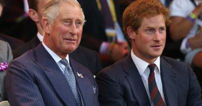 Endgame naming chaos 'could break Charles and Harry's relationship beyond repair' - www.dailyrecord.co.uk - Netherlands - Beyond