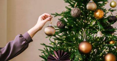 Gran shares 'groundbreaking' Christmas tree hack that keeps your home clean - www.dailyrecord.co.uk - USA