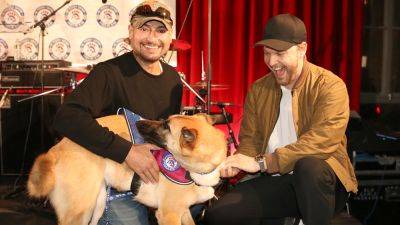 Singer Gavin DeGraw surprises US soldiers with rescue pets through Paws of War initiative - www.foxnews.com - New York - USA