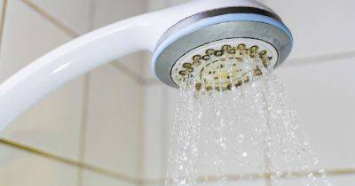 Plumber shares simple water pressure trick that helps to banish leaking showers - www.dailyrecord.co.uk - Beyond