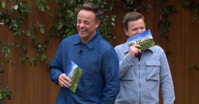 ITV I'm A Celebrity's Ant and Dec want BGT star to sign up after they admit 'I’d be a screamer' - www.ok.co.uk - Britain