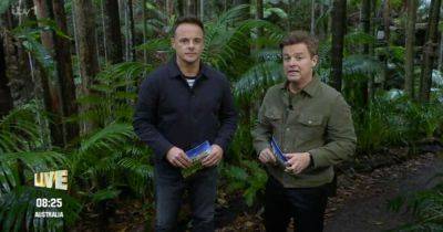 I'm A Celebrity fans claim to spot Ant and Dec 'struggle' after first live eviction of the series - www.manchestereveningnews.co.uk - Italy - Manchester