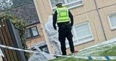 Lanark murder cops 'search house and scour drains' after man dies in street - www.dailyrecord.co.uk - Scotland - Beyond