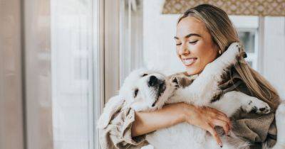 Expert reveals simple test that can signify whether your dog really does love you - www.dailyrecord.co.uk - Tokyo