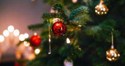 'Christmas tree syndrome' explained as potential reason behind cold symptoms - www.dailyrecord.co.uk