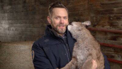 Joel McHale Gets Up Close & Personal With A Baby Cougar In ‘Animal Control’ Super Bowl 2023 Commercial — Watch - deadline.com - Philadelphia, county Eagle - county Eagle - Kansas City