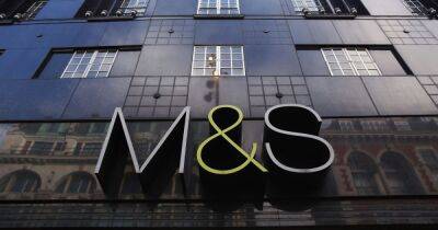 M&S shoppers rushing to buy 'perfect' £29.50 trousers and say they're 'obsessed' - www.dailyrecord.co.uk - Beyond