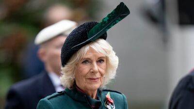 King Charles III's wife Camilla, Queen Consort, tests positive for COVID - www.foxnews.com