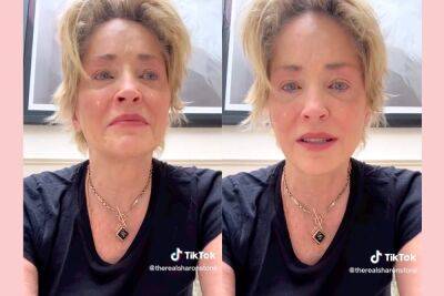 Sharon Stone Posts Tear-Filled TikTok Confirming Brother's Death -- A Year After His Baby's Tragic Passing - perezhilton.com - Pennsylvania - county Stone