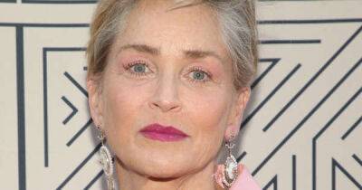 Sharon Stone breaks down in tears as she addresses brother's sudden death - www.msn.com - county Stone