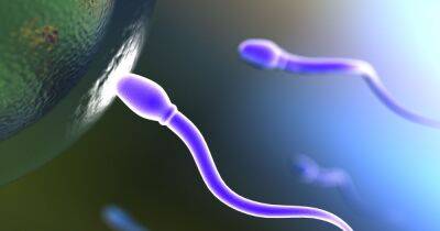 A male contraceptive is 'possible' thanks to 'game-changer' drug - www.manchestereveningnews.co.uk - New York