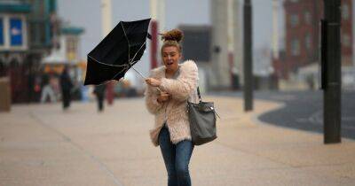 Yellow warning for wind as gusts expected to hit 59mph in some areas of West Lothian - www.dailyrecord.co.uk - Scotland
