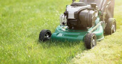 The exact date to cut your grass after winter as garden experts share mowing tips - www.dailyrecord.co.uk - Britain - Beyond