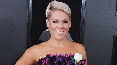Pink Reveals She Underwent Major Hip Surgery, Double Disk Replacement Over Pandemic - www.etonline.com