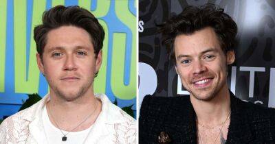 Niall Horan’s Fans Think His New Album ‘The Show’ Will Feature a Harry Styles Collaboration After One Direction Hiatus: Details - www.usmagazine.com - Ireland