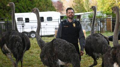 ‘Animal Control’ Premiere Wrangles Record Streaming Audience For Fox In Delayed Viewing - deadline.com