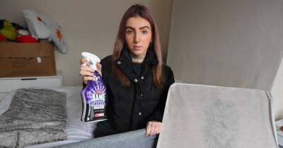 Young mum claims she was told to use Cillit Bang to clean baby's mouldy mattress - www.manchestereveningnews.co.uk - Manchester - county Walton - Beyond