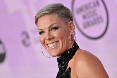 Pink Never Thought She Would Have Kids: ‘I Was Terrified I Would Be A Terrible Mother’ - etcanada.com - county Blair