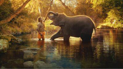 Oscar-Nominated Doc Shorts ‘Elephant Whisperer,’ ‘Haulout’ Tackle Climate Change - variety.com - Russia