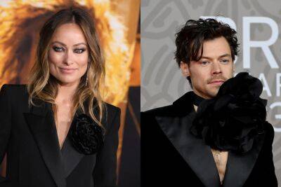 Olivia Wilde And Harry Styles Reportedly Still ‘Good Friends’ After Split - etcanada.com