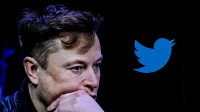 More Twitter Staffers Axed Over Weekend; Elon Musk Tweets, “Hope You Have A Good Sunday. First Day Of The Rest Of Your Life” - deadline.com