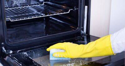 People are just realising your oven door can be removed to clean it - www.dailyrecord.co.uk - Beyond
