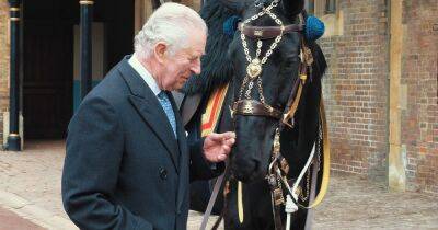 King Charles gifted a horse from Canada in long-standing tradition - www.ok.co.uk - Scotland - Canada - county Windsor - Burma - county Prince Edward - county Chambers