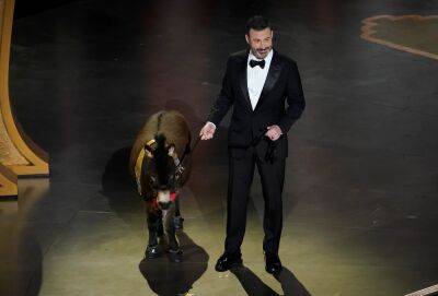 Jenny the Donkey and Colin Farrell become 2023 Oscars meme - nypost.com - Jordan