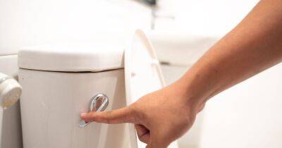 Disgusting reason you're probably flushing the toilet wrong explained - www.dailyrecord.co.uk - Beyond