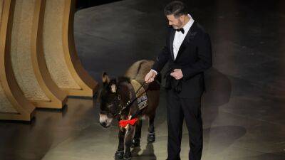 Kimmel Admits His ‘Banshees’ Oscars Bit ‘Hired an LA Donkey’ Instead of Flying in the Real Jenny: ‘You Noticed the Lip Fillers’ (Video) - thewrap.com - Ireland - county Banks
