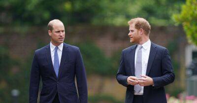Princess Diana 'would be very unhappy' with Harry's royal attacks on William - www.ok.co.uk