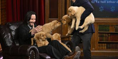 Keanu Reeves Cuddles Will A Pile of Puppies on 'The Tonight Show'! - www.justjared.com