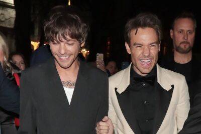 Louis Tomlinson Thanks Liam Payne For His Support After The Pair Reunite At Movie Premiere - etcanada.com
