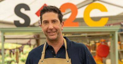 Heartbreaking reason Friends icon David Schwimmer signed up for Channel 4 Celebrity Bake Off - www.manchestereveningnews.co.uk - Britain - USA