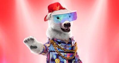 Who is Polar Bear on 'The Masked Singer' Season 9? Clues, Guesses, & Spoilers Revealed! - www.justjared.com - New York - New York - California