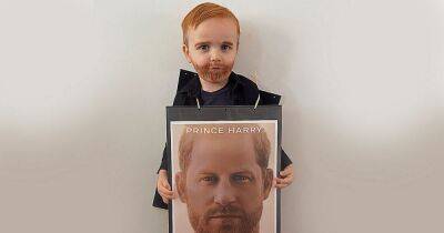 World Book Day Prince Harry costume delights royal fans as youngster is duke's double - www.dailyrecord.co.uk