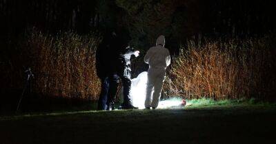 BREAKING: Three guns and ammunition found 'in bushes by children' - www.manchestereveningnews.co.uk - Manchester