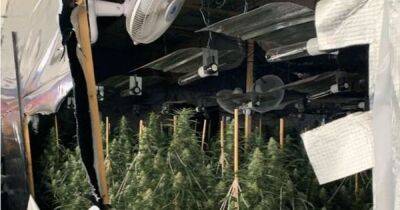 Huge cannabis farm found in bingo hall - www.manchestereveningnews.co.uk - Britain