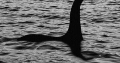 Loch Ness Centre is recruiting 'Nessie's number one fan' for a job opportunity - www.dailyrecord.co.uk - Beyond