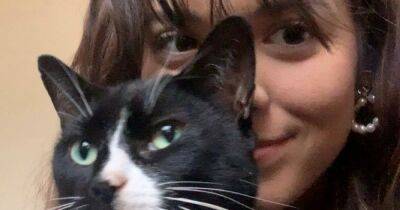 Heartbroken woman uses Tinder and Grindr to help search for her missing cat - www.manchestereveningnews.co.uk