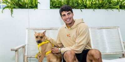 Carlos Alcaraz Gives Back to Local Community During Miami Open, Volunteers with Humane Society of Greater Miami - www.justjared.com - Miami - Florida - county Garden - county Miami-Dade - Serbia