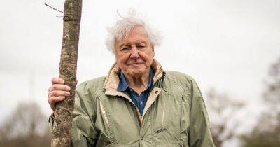 David Attenborough’s family life - from Jurassic Park brother to fellow anthropologist son - www.ok.co.uk - New Zealand