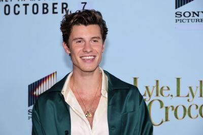 Shawn Mendes Gets His Tank Top Tan Going With Sunburn Photos - etcanada.com - city Mexico City